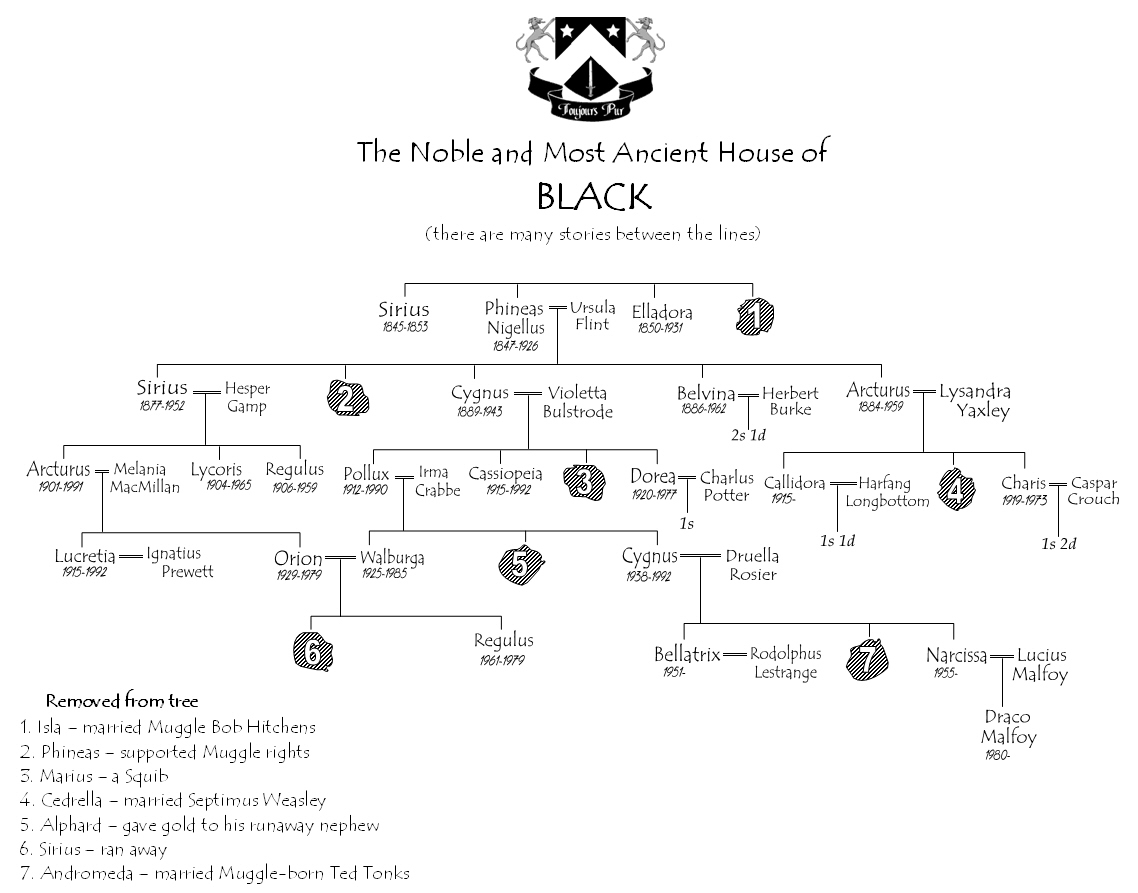 Image - Black family tree.jpg | Harry Potter Wiki | FANDOM powered by Wikia