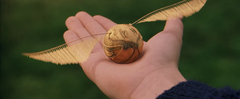 Snitch 2