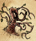 VenomousTentaculaPottermore