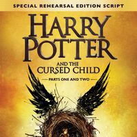 Harry Potter And The Cursed Child Harry Potter Wiki Fandom