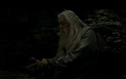 Dumbledore gaining entry