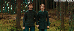 Harrymioneaparata