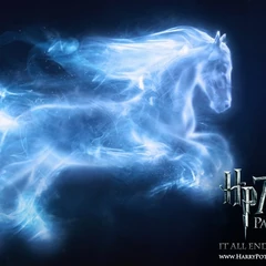 https://vignette.wikia.nocookie.net/harrypotter/images/1/16/Y_54071560.jpg/revision/latest/zoom-crop/width/240/height/240?cb=20120106093607&path-prefix=ru