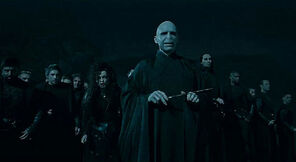 Voldemort and his Death Eaters