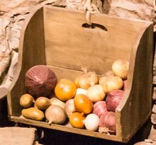 Onions
