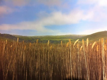 Ottery St Catchpole | Harry Potter Wiki | Fandom