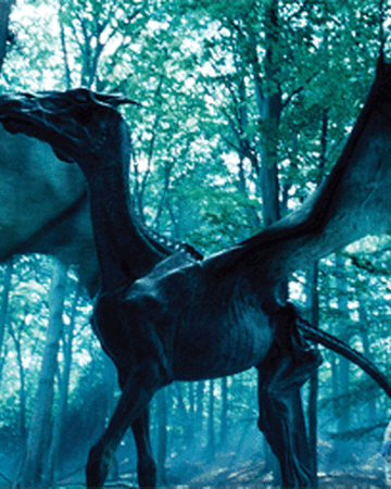 Sombral Wiki Harry Potter Fandom