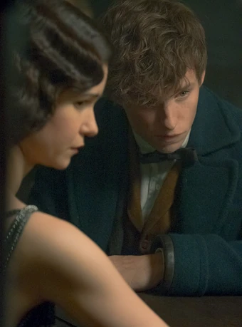 Norbert Dragonneau Wiki Harry Potter Fandom