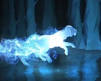 Bloodhound-patronus