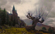 Hogwarts Whomping Willow GIF