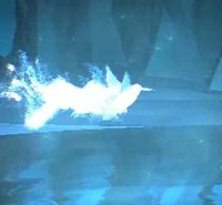 Hummingbird-patronus