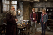 HP8 Aberforth Dumbledore