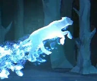 Tigress-patronus