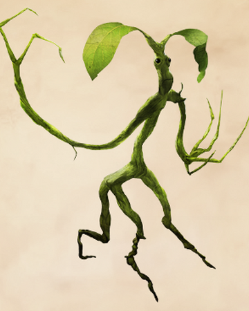 Bowtruckle | Harry Potter Wiki | Fandom