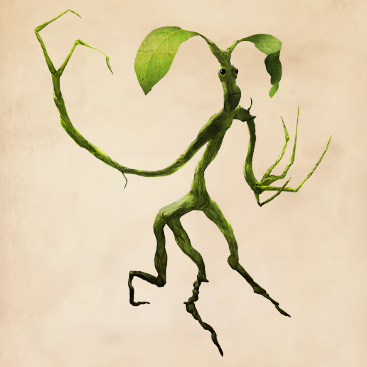 https://vignette.wikia.nocookie.net/harrypotter/images/2/22/Bowtruckle.png/revision/latest?cb=20161203145244&amp;path-prefix=ru