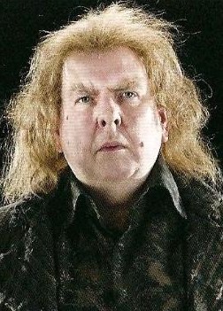 tom arnold dursley pedro pettigrew harry potter wiki fandom powered by wikia tom arnold dursley pedro pettigrew harry potter wiki fandom powered by wikia
