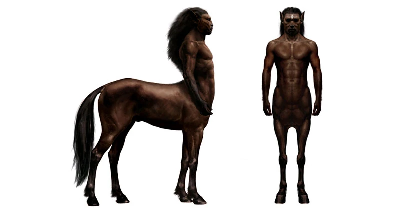 Zentaur | Harry-Potter-Lexikon | FANDOM powered by Wikia