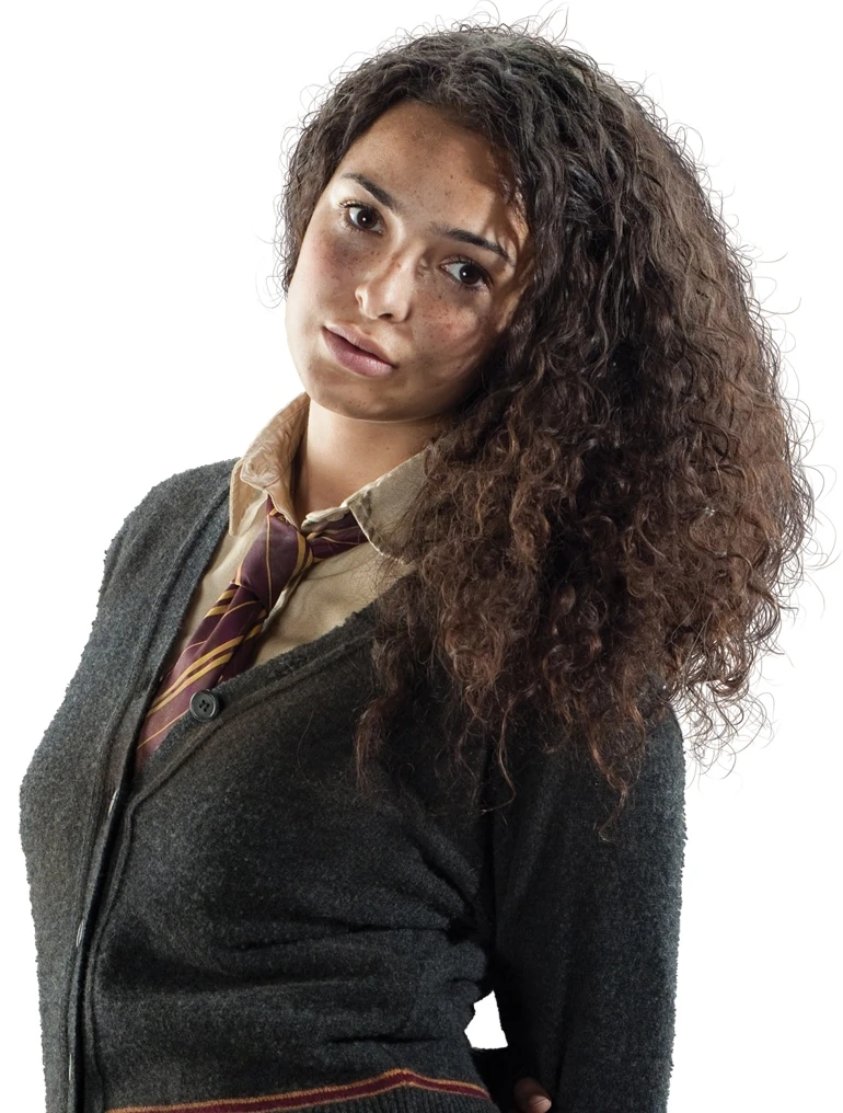 CatégorieRépartition de 1993 Wiki Harry Potter FANDOM powered by Wikia
