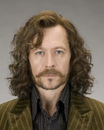 Sirius Black Harry Potter Wiki Fandom