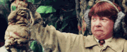 Funny-gif-harry-potter-ron-weasly-Favim.com-298132