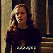 Hermione Granger Harry Potter Wiki Fandom