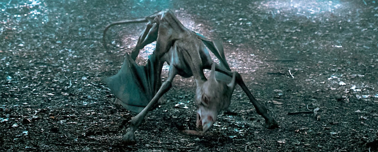 Bạn biết gì về Vong Mã - loài sinh vật huyền bí có vẻ ngoài chết chóc trong Harry Potter? - Ảnh 5. Bạn biết gì về Vong Mã - loài sinh vật huyền bí có vẻ ngoài chết chóc trong Harry Potter? - Ảnh 5.