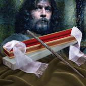 Siriusblack wand (1)