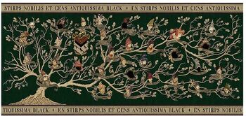 Black Family Tapestry | Harry Potter Wiki | FANDOM powered by Wikia