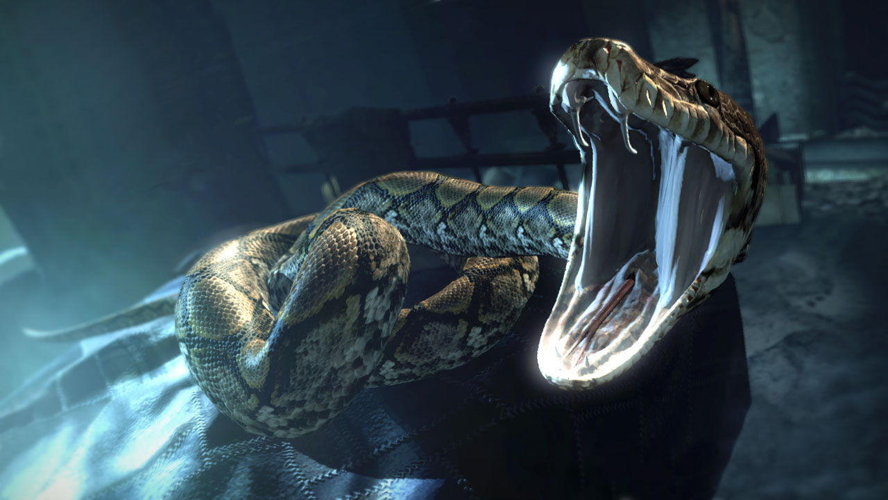 Nagini's venom | Harry Potter Wiki | Fandom