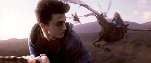 Bạn biết gì về Vong Mã - loài sinh vật huyền bí có vẻ ngoài chết chóc trong Harry Potter? - Ảnh 6. Bạn biết gì về Vong Mã - loài sinh vật huyền bí có vẻ ngoài chết chóc trong Harry Potter? - Ảnh 6.