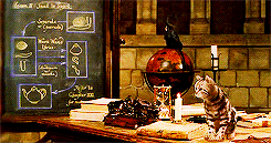 Picture shows an animated insert of Prof. McGonagall transforming into a cat from the Harry Potter and the Philosopher's Stone film.