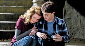 Winky Harry Potter Porn - Hermione Granger | Harry Potter Wiki | Fandom