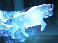 Buffalo