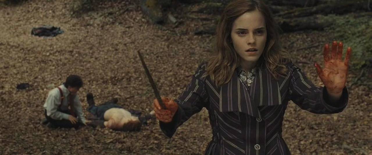 Image Hermione casting protective enchantments.JPG Harry Potter