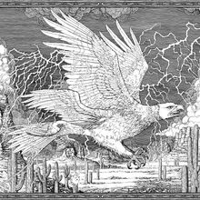 Thunderbird_FB-2017.jpeg