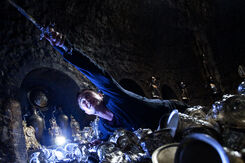 Bellatrix Lestrange's vault