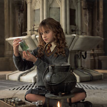 Hermione Granger | Harry Potter Wiki | Fandom