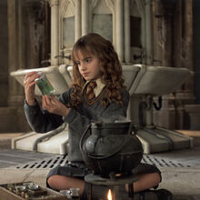 Hermione Granger Harry Potter Wiki Fandom