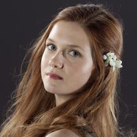 Ginny Weasley Wiki Harry Potter Fandom