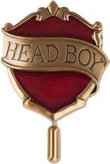 Seventh year | Harry Potter Wiki | Fandom