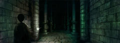 Inside the chamber