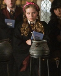 Lavender in potions class