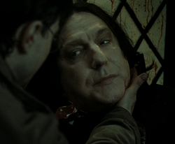 Snape's Death..