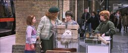 Harry-potter1-platform