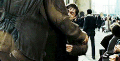 Harry hagrid 1998