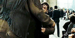 Harry hagrid 1998