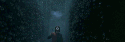 GOF Harry Periculum third task