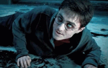 Voldemort posseses Harry Potter