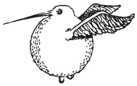 The Snidget Is Completely Round Fat Covered In Golden Feathers And Has A Long Thin Beak Its Eyes Are Bright Red Rotational Wings Let