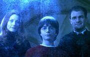 Harry-potter-famiglia